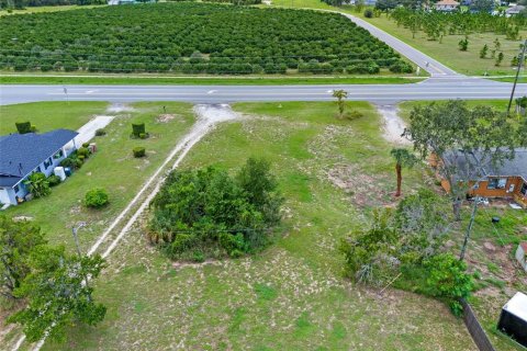 Land in Tavares, Florida № 1904536 - photo 9