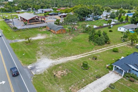 Land in Tavares, Florida № 1904536 - photo 12