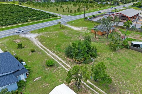 Land in Tavares, Florida № 1904536 - photo 10