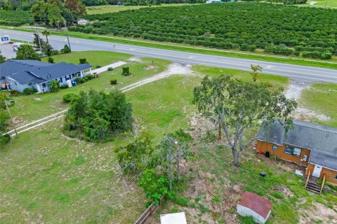 Land in Tavares, Florida № 1904536 - photo 8