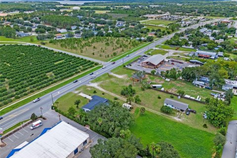 Land in Tavares, Florida № 1904536 - photo 20