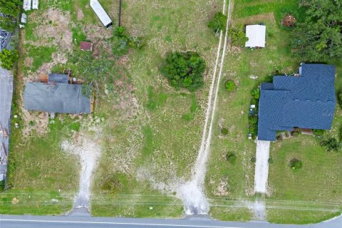 Land in Tavares, Florida № 1904536 - photo 13