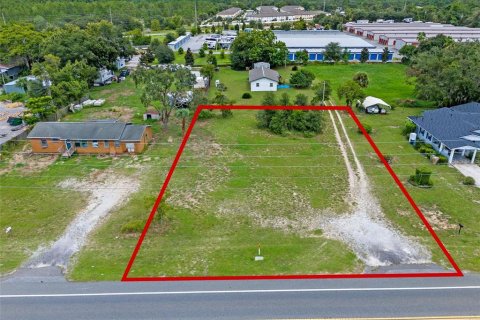 Land in Tavares, Florida № 1904536 - photo 3