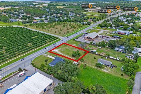 Land in Tavares, Florida № 1904536 - photo 1