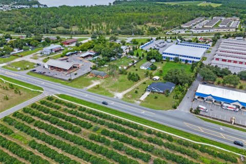 Land in Tavares, Florida № 1904536 - photo 18