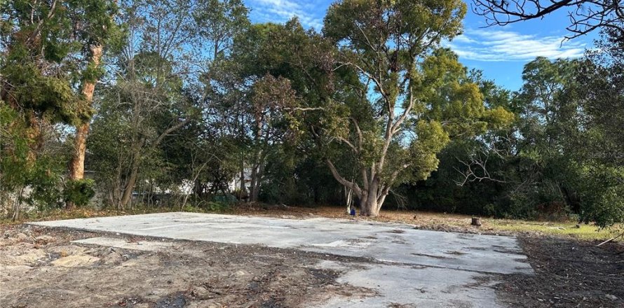 Terreno en Spring Hill, Florida № 1559675