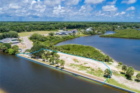 Land in Flagler Beach, Florida № 1156056 - photo 17