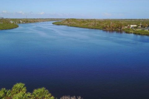 Land in Flagler Beach, Florida № 1156056 - photo 2