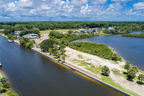 Land in Flagler Beach, Florida № 1156056 - photo 15