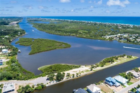 Land in Flagler Beach, Florida № 1156056 - photo 6
