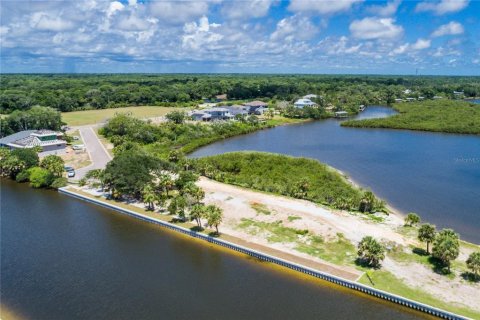 Land in Flagler Beach, Florida № 1156056 - photo 16