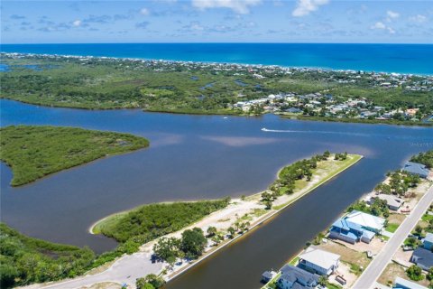 Land in Flagler Beach, Florida № 1156056 - photo 5