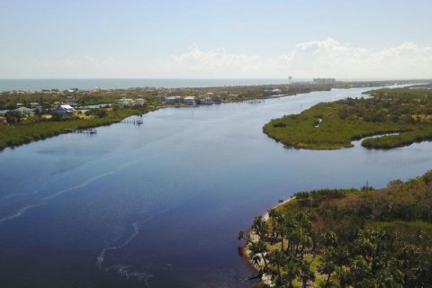 Land in Flagler Beach, Florida № 1156056 - photo 3