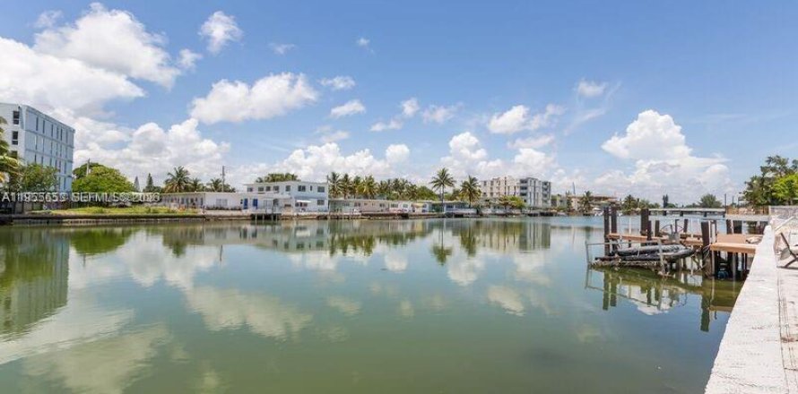 Estudio en Miami Beach, Florida № 2009550