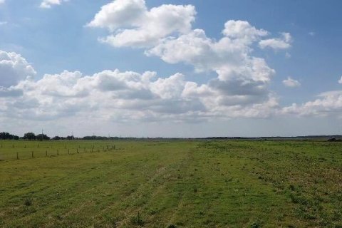 Commercial property in Okeechobee, Florida № 2187215 - photo 3