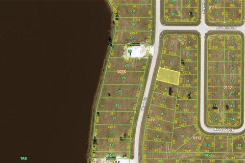 Land in Placida, Florida № 2166236 - photo 7