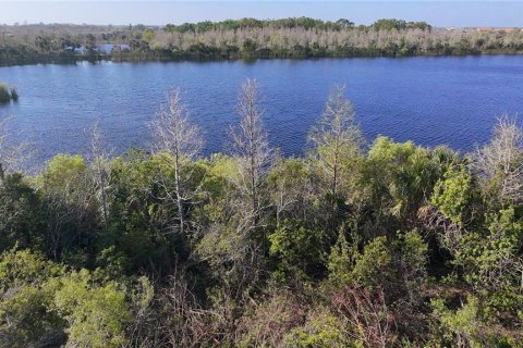 Land in Ruskin, Florida № 1720214 - photo 14