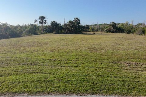 Land in Ruskin, Florida № 1720214 - photo 3