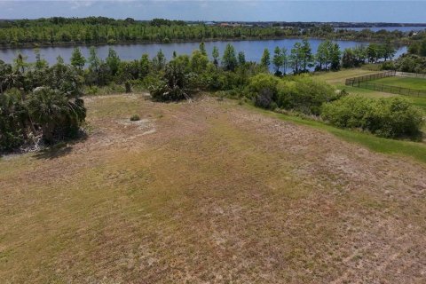 Land in Ruskin, Florida № 1720214 - photo 7