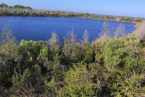 Land in Ruskin, Florida № 1720214 - photo 2
