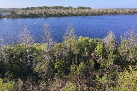 Land in Ruskin, Florida № 1720214 - photo 4