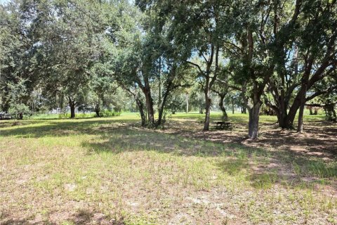 Land in Okeechobee, Florida № 1889711 - photo 8