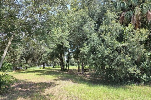 Land in Okeechobee, Florida № 1889711 - photo 12