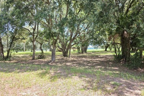 Land in Okeechobee, Florida № 1889711 - photo 10