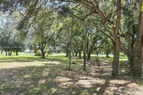 Land in Okeechobee, Florida № 1889711 - photo 4