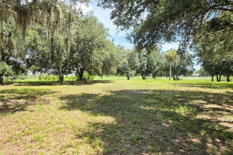 Land in Okeechobee, Florida № 1889711 - photo 7