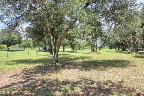Land in Okeechobee, Florida № 1889711 - photo 6