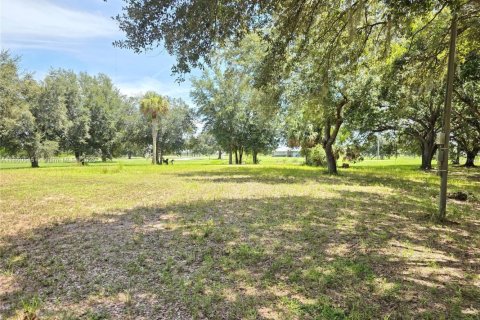 Land in Okeechobee, Florida № 1889711 - photo 3