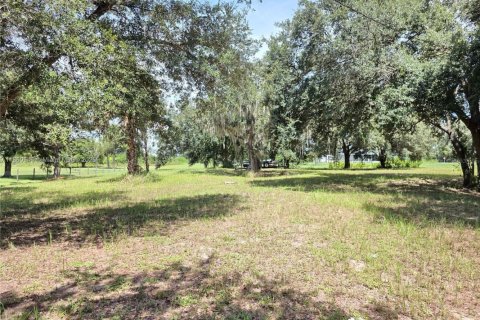 Land in Okeechobee, Florida № 1889711 - photo 1