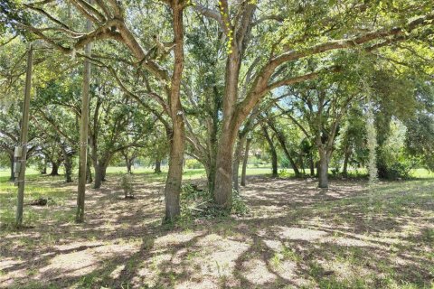 Land in Okeechobee, Florida № 1889711 - photo 5