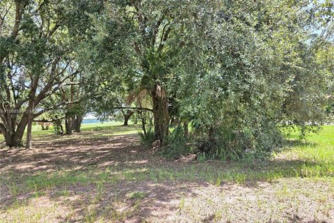 Land in Okeechobee, Florida № 1889711 - photo 9