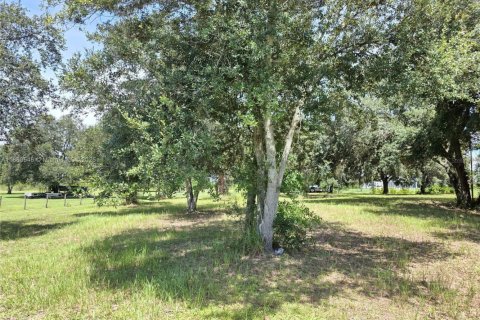 Land in Okeechobee, Florida № 1889711 - photo 11