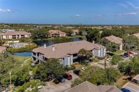 Condominio en alquiler en Saint Petersburg, Florida, 1 dormitorio, 67.73 m2 № 1825020 - foto 21