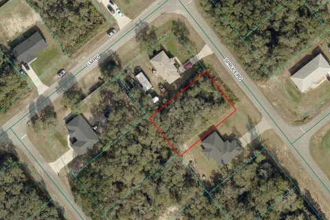 Land in Ocala, Florida № 2162329 - photo 2