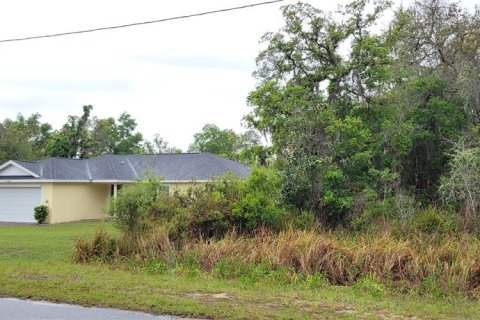 Land in Ocala, Florida № 2162329 - photo 3