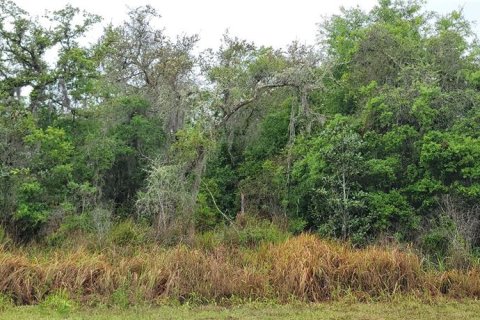 Land in Ocala, Florida № 2162329