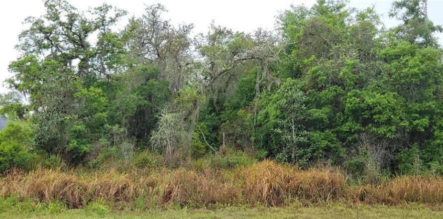Land in Ocala, Florida № 2162329