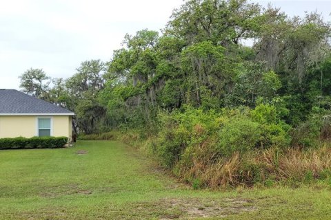 Land in Ocala, Florida № 2162329 - photo 5
