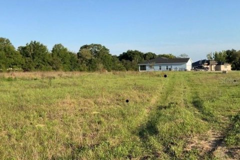 Land in Zephyrhills, Florida № 1914954 - photo 2