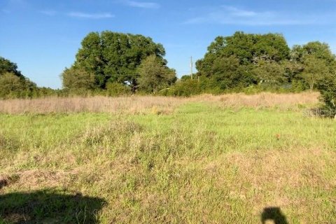 Land in Zephyrhills, Florida № 1914954 - photo 1