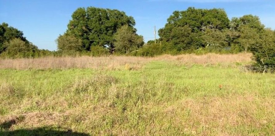 Land in Zephyrhills, Florida № 1914954
