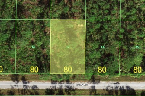 Land in Port Charlotte, Florida № 2162797