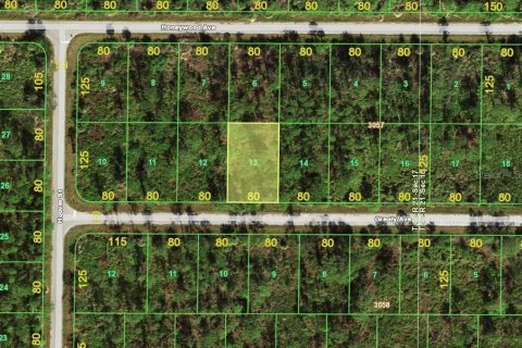 Land in Port Charlotte, Florida № 2162797 - photo 2