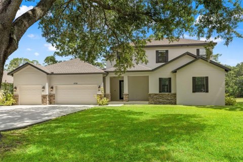House in Lutz, Florida 6 bedrooms, 406.35 sq.m. № 2217122 - photo 2