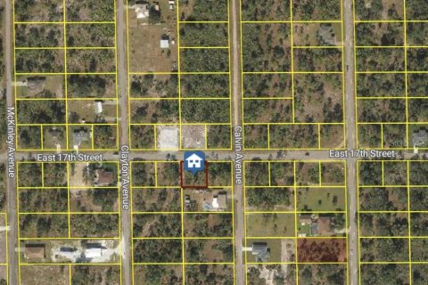 Land in Lehigh Acres, Florida № 2161024 - photo 2