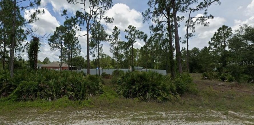 Land in Lehigh Acres, Florida № 2161024